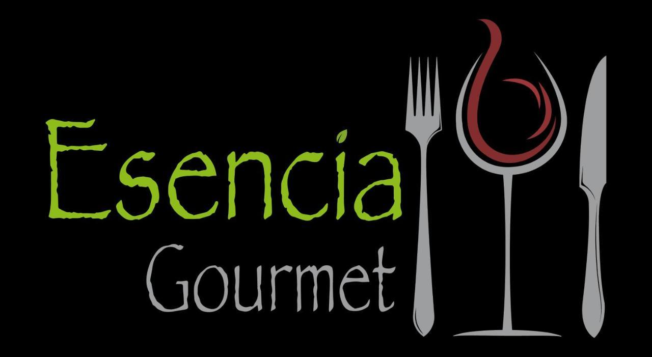 וינה דל מר Esencia Hotel Boutique מראה חיצוני תמונה