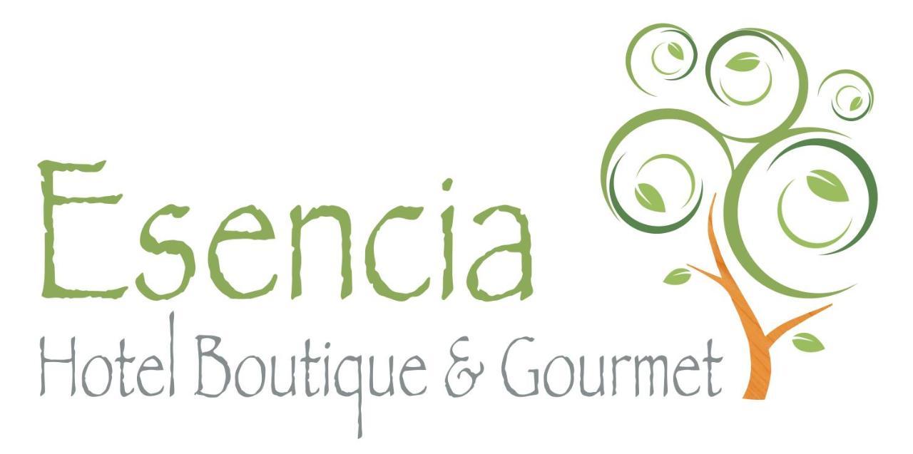וינה דל מר Esencia Hotel Boutique מראה חיצוני תמונה